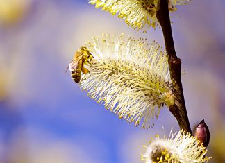 Kui oled liiga tundlik