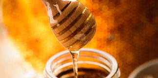 Mees on maagiline vägi