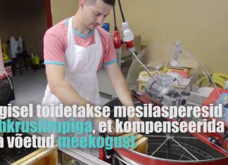 Video: Kuidas mesi kärjest purki jõuab