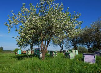 Mahemee tunneb ära märgistusest