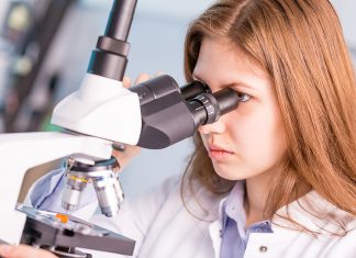 Mesi mikroskoobi all